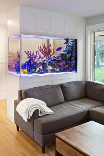 Fish Tank Contemporary Design in Weston MA