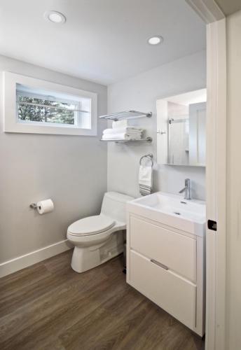 Basement Bathroom Contemporary Design in Weston MA